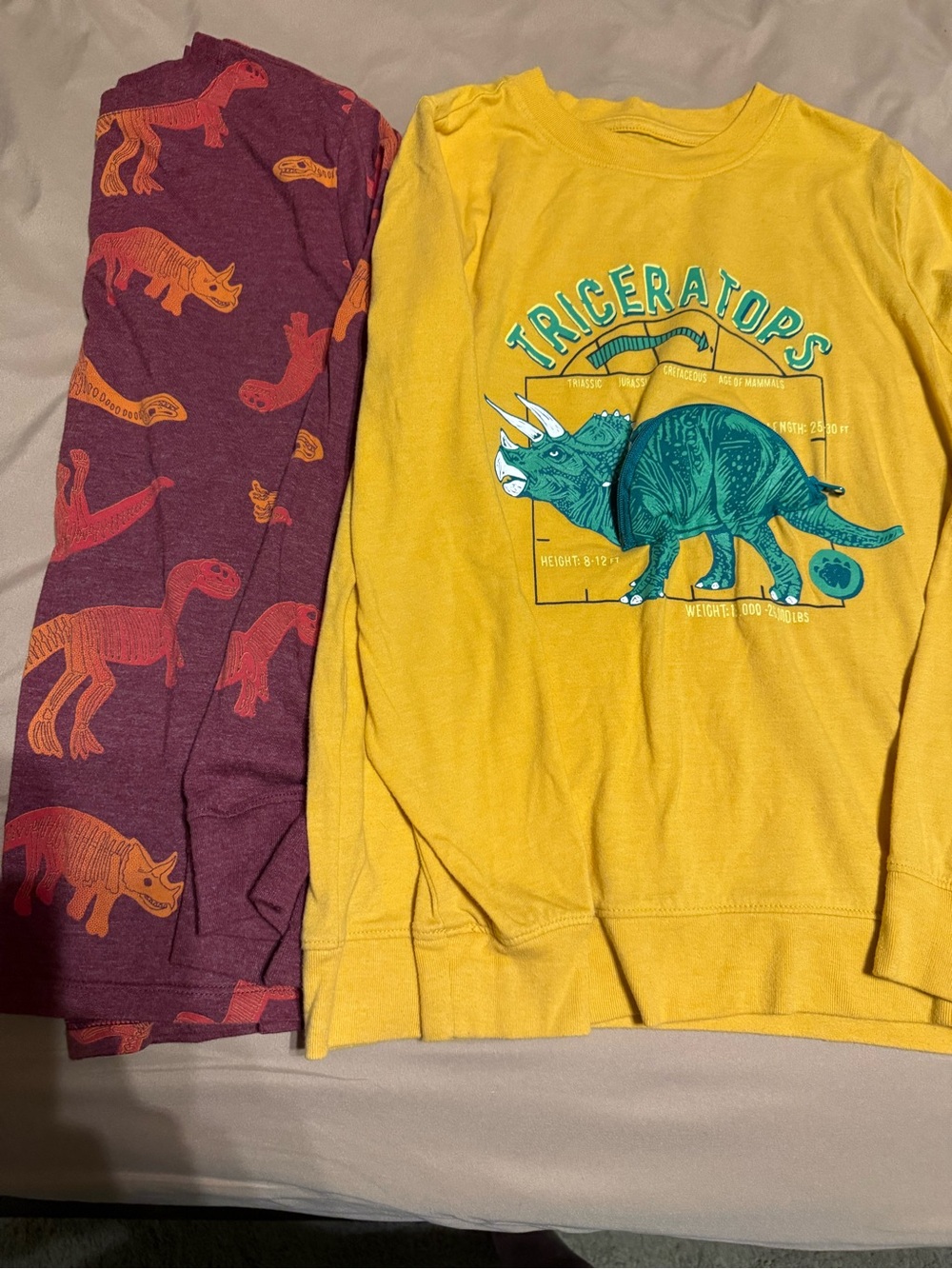 Yellow Triceratops Graphic Tee with Burgundy Dinosaur Leggings